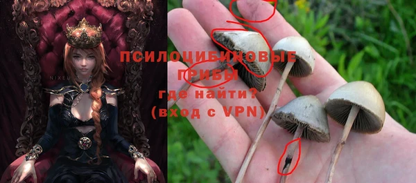 молекула духа Строитель