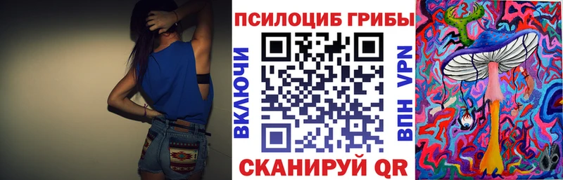 Псилоцибиновые грибы мицелий  Кола 