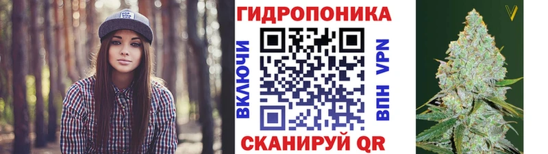 Шишки марихуана гибрид  Кола 
